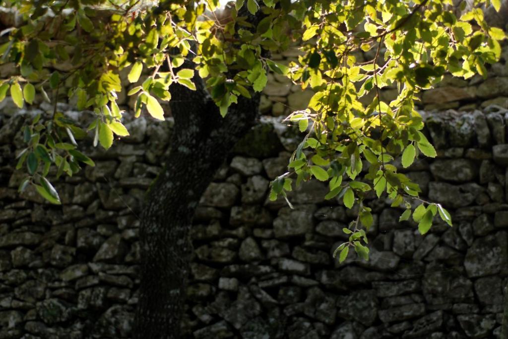 Agriturismo Iazzo Scagno マルティナ・フランカ エクステリア 写真