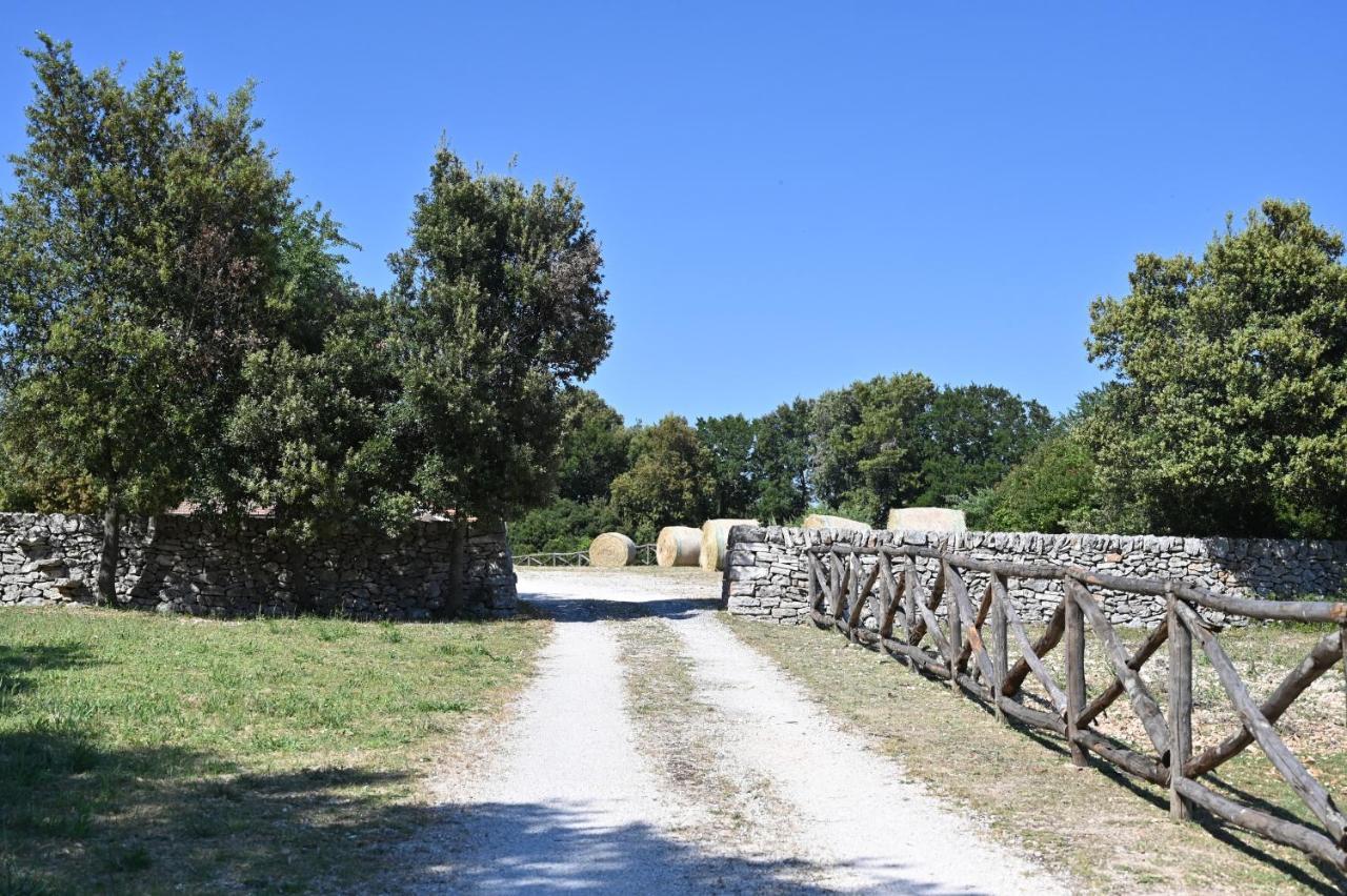 Agriturismo Iazzo Scagno マルティナ・フランカ エクステリア 写真
